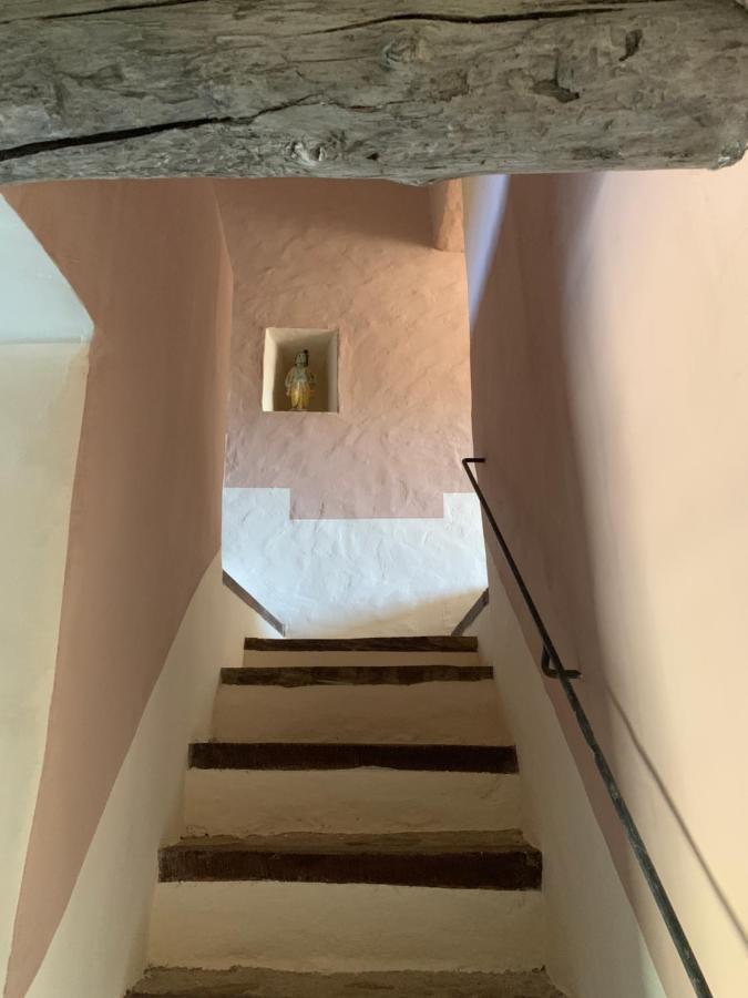 Les Jardins De Sitaara Bed & Breakfast Cucuron Dış mekan fotoğraf