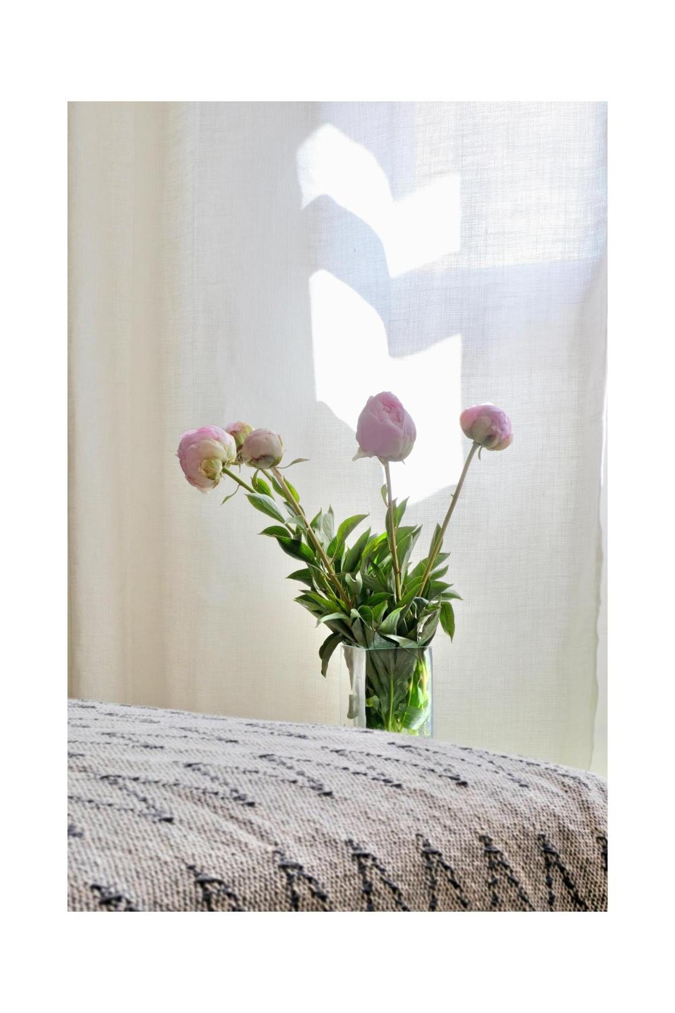 Les Jardins De Sitaara Bed & Breakfast Cucuron Dış mekan fotoğraf